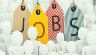 Job Vacancies 31/8/2015